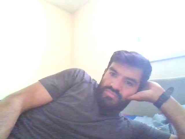 Piggylatin