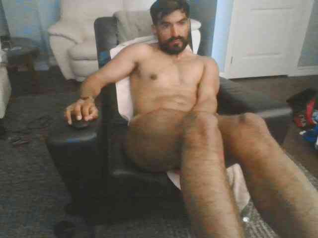Piggylatin