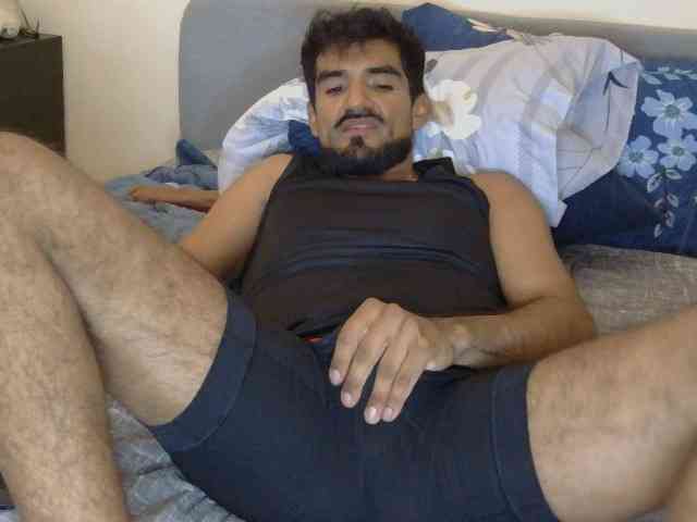 Piggylatin
