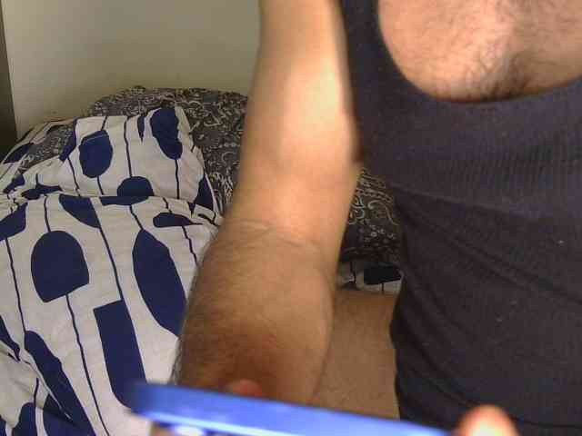 Piggylatin Piggylatin
