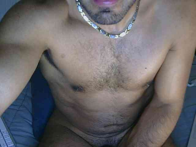 Piggylatin