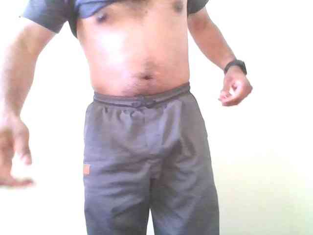 Piggylatin Piggylatin