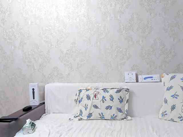 ToraMika webcam