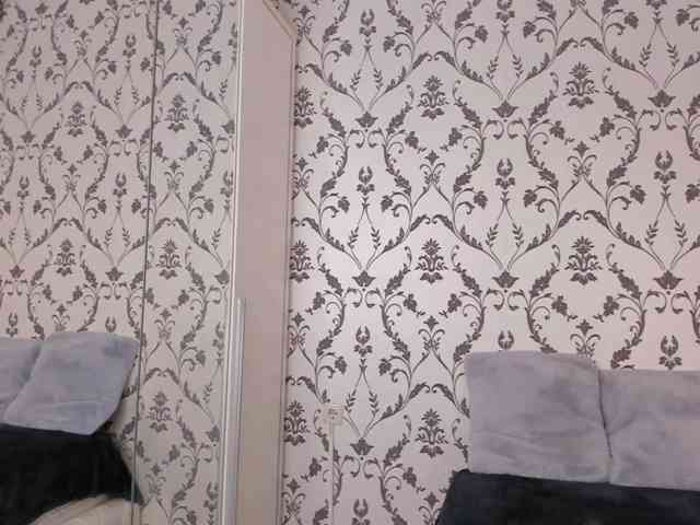 SwaySecret webcam