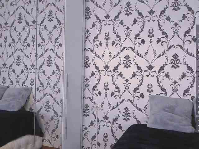 SwaySecret webcam