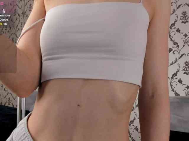 SwaySecret webcam