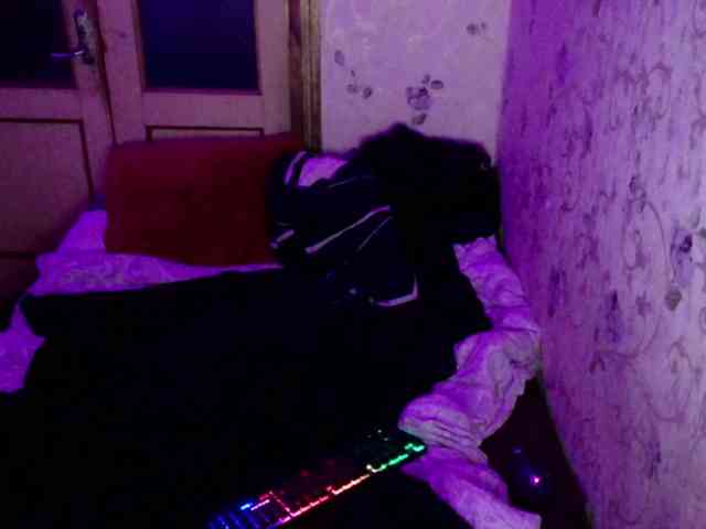 NIKPIK Sex Cam Show
