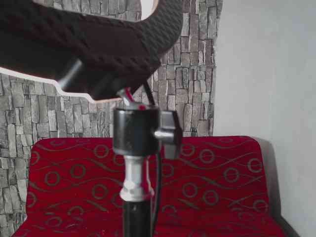 Goddes-paty webcam