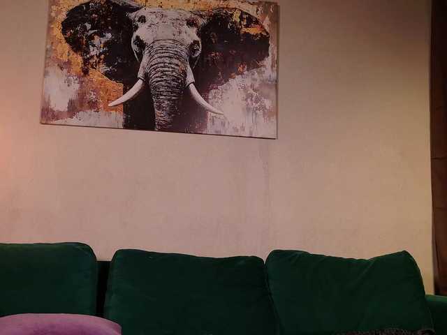 AdriaStacy live cam on BongaCams