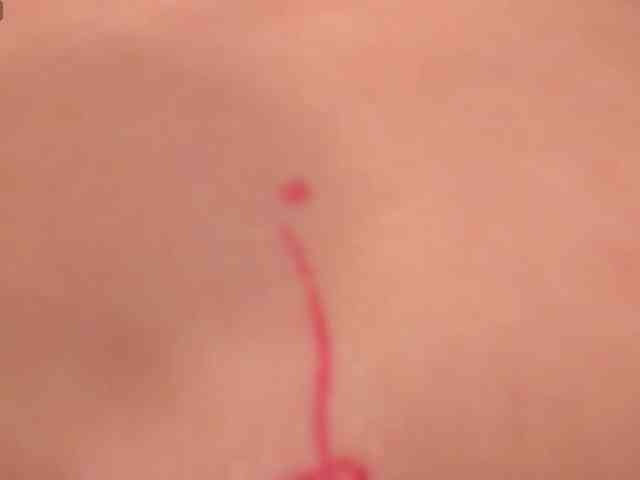 HaileyRoss webcam