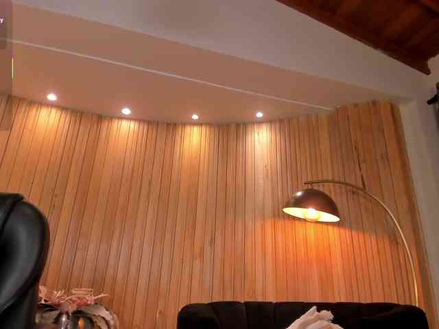 SophieLanne webcam