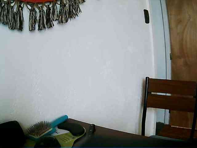 LatinaFit webcam