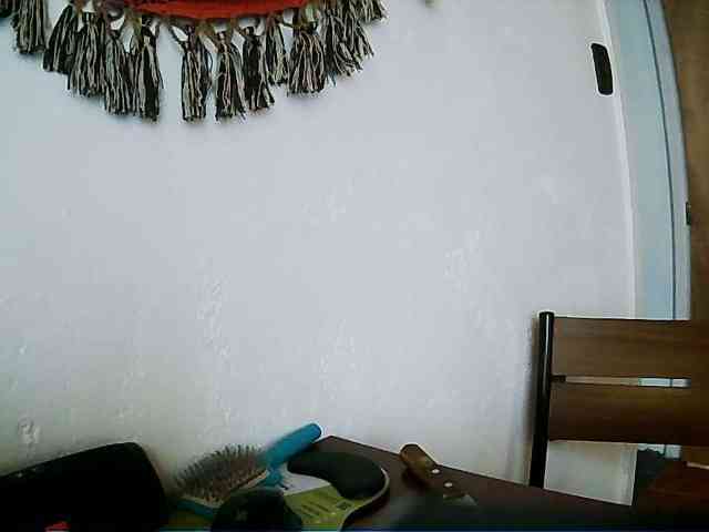 LatinaFit webcam
