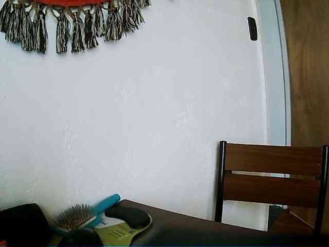 LatinaFit webcam