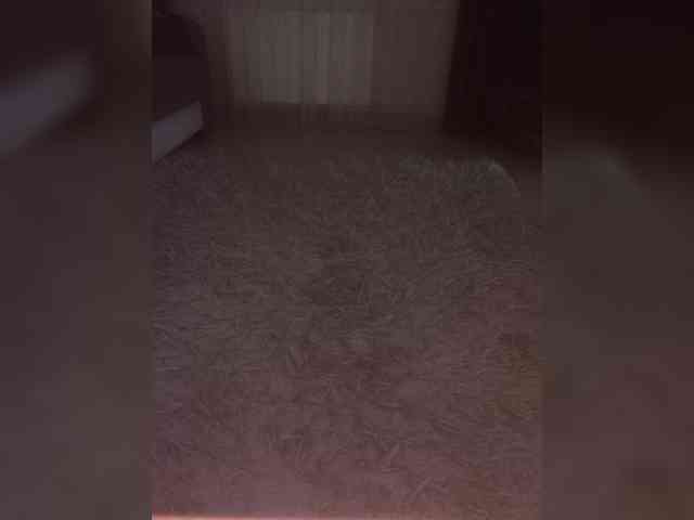 Koshkaxxx webcam