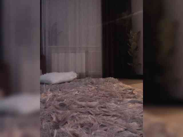 Koshkaxxx webcam