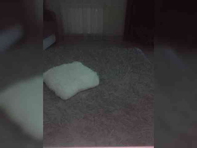 Koshkaxxx webcam