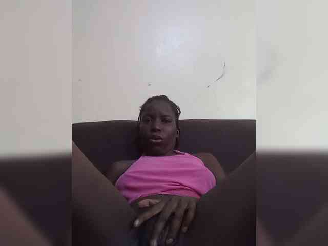PenLottie webcam