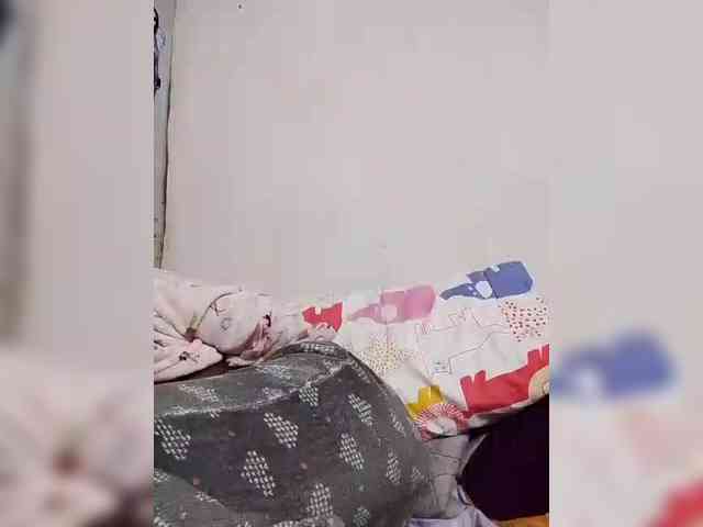 Candis01
