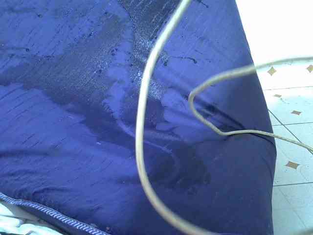 Thirstypussy webcam