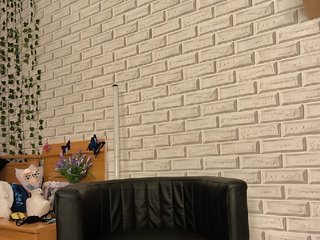 GORIGLAZ Porn Show