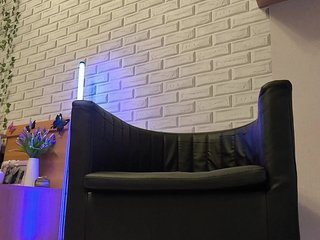 GORIGLAZ Porn Show