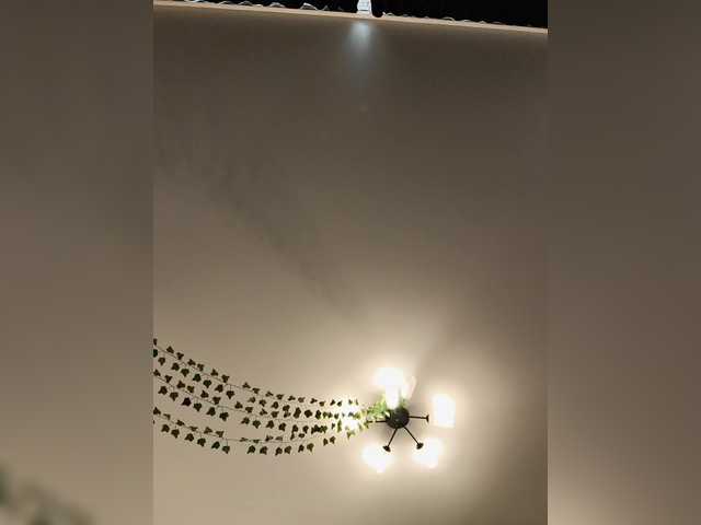 GORIGLAZ live cam on BongaCams