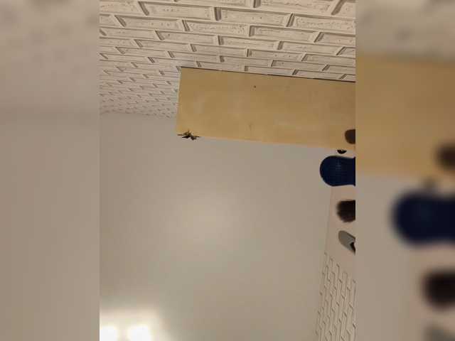 GORIGLAZ live cam on BongaCams