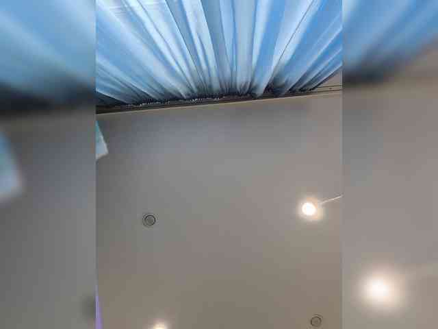 ROSALIA webcam