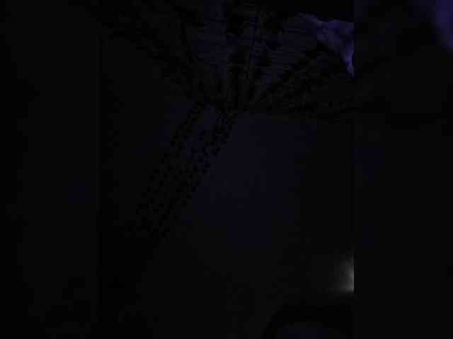 ROSALIA webcam