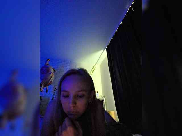 GORIGLAZ webcam