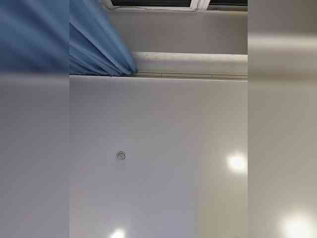 ROSALIA webcam