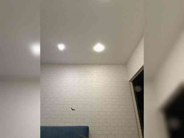 ROSALIA webcam