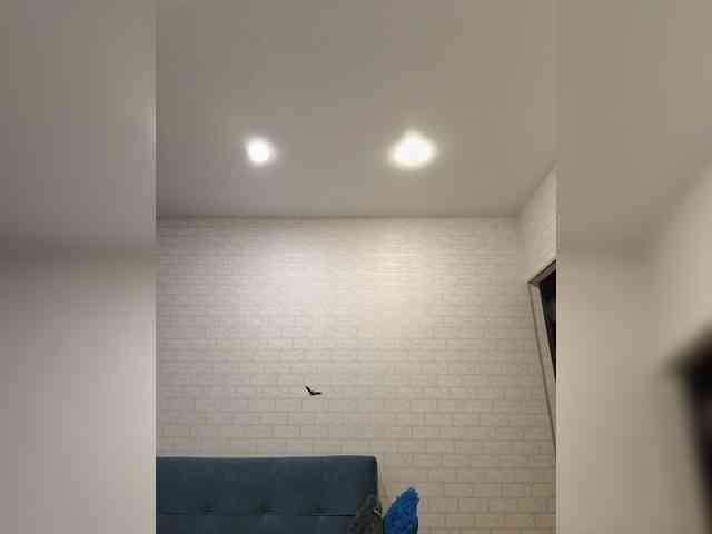 ROSALIA webcam