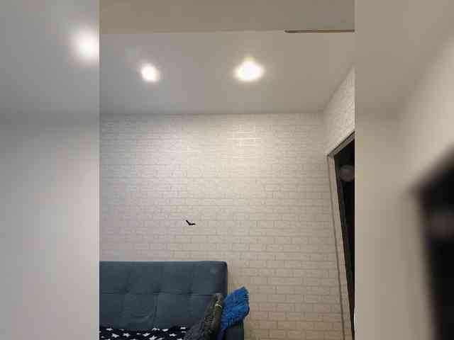 ROSALIA webcam