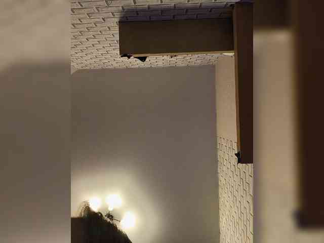 GORIGLAZ webcam