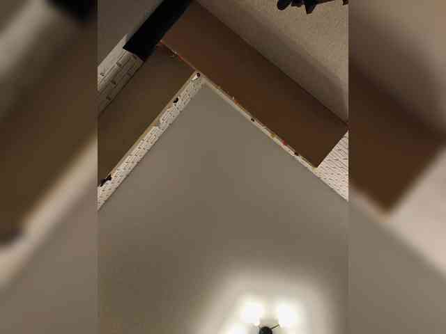 ROSALIA webcam