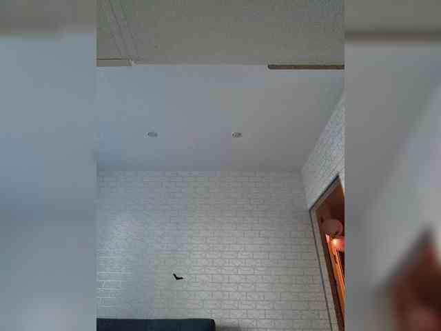 ROSALIA webcam