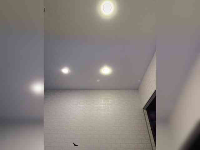 ROSALIA webcam