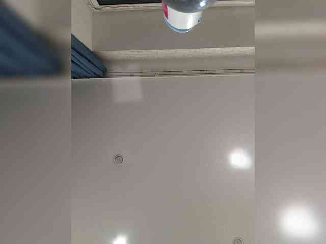 ROSALIA webcam