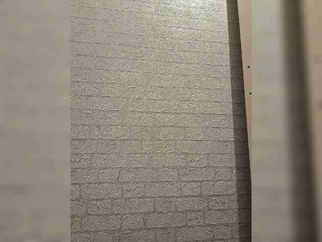 ROSALIA webcam