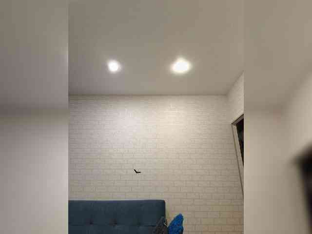 ROSALIA webcam