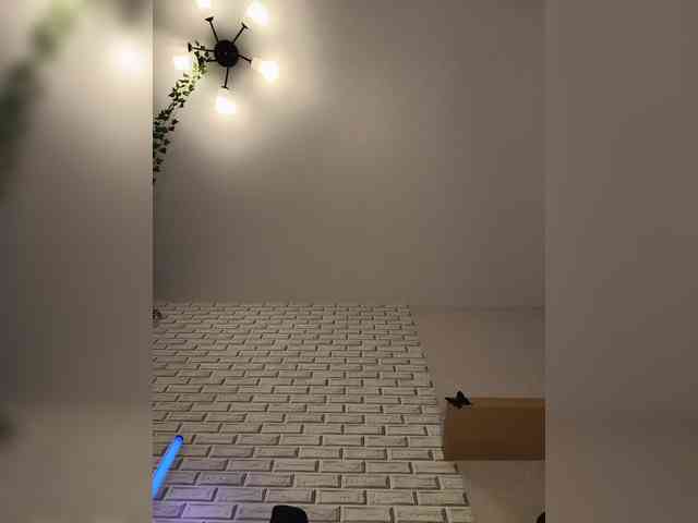 ROSALIA webcam