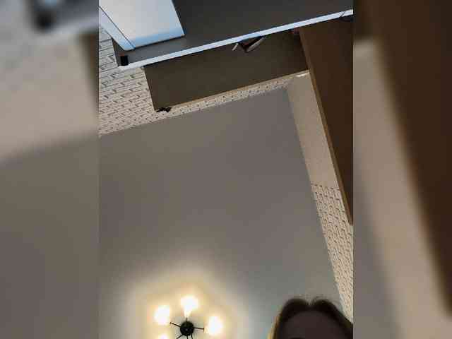 ROSALIA webcam