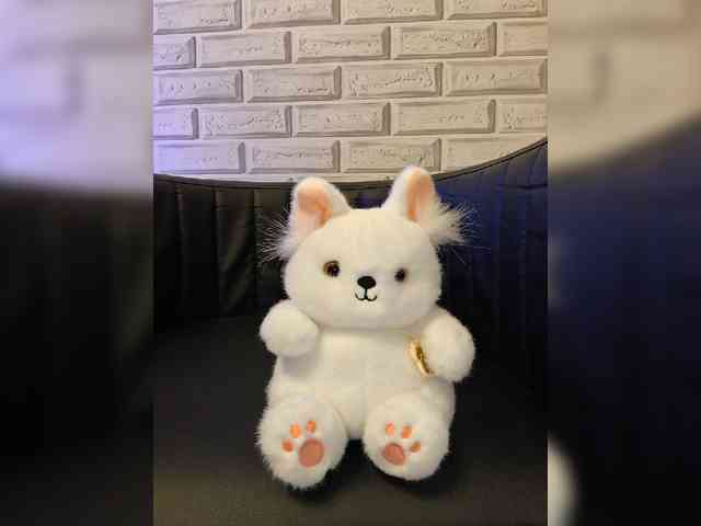 ROSALIA webcam