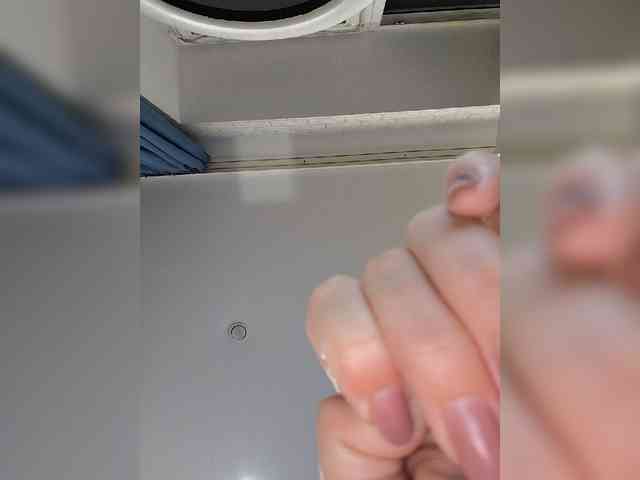 ROSALIA webcam