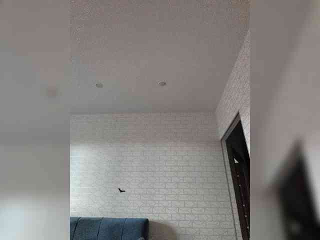 ROSALIA webcam