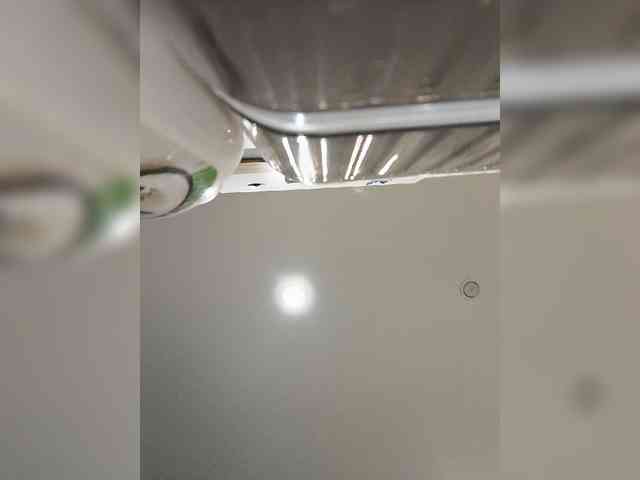 GORIGLAZ webcam