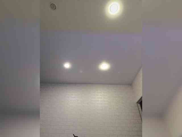 ROSALIA webcam