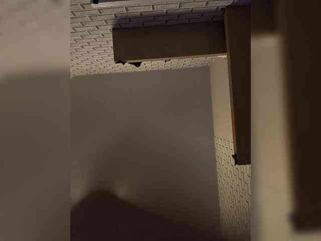 GORIGLAZ webcam